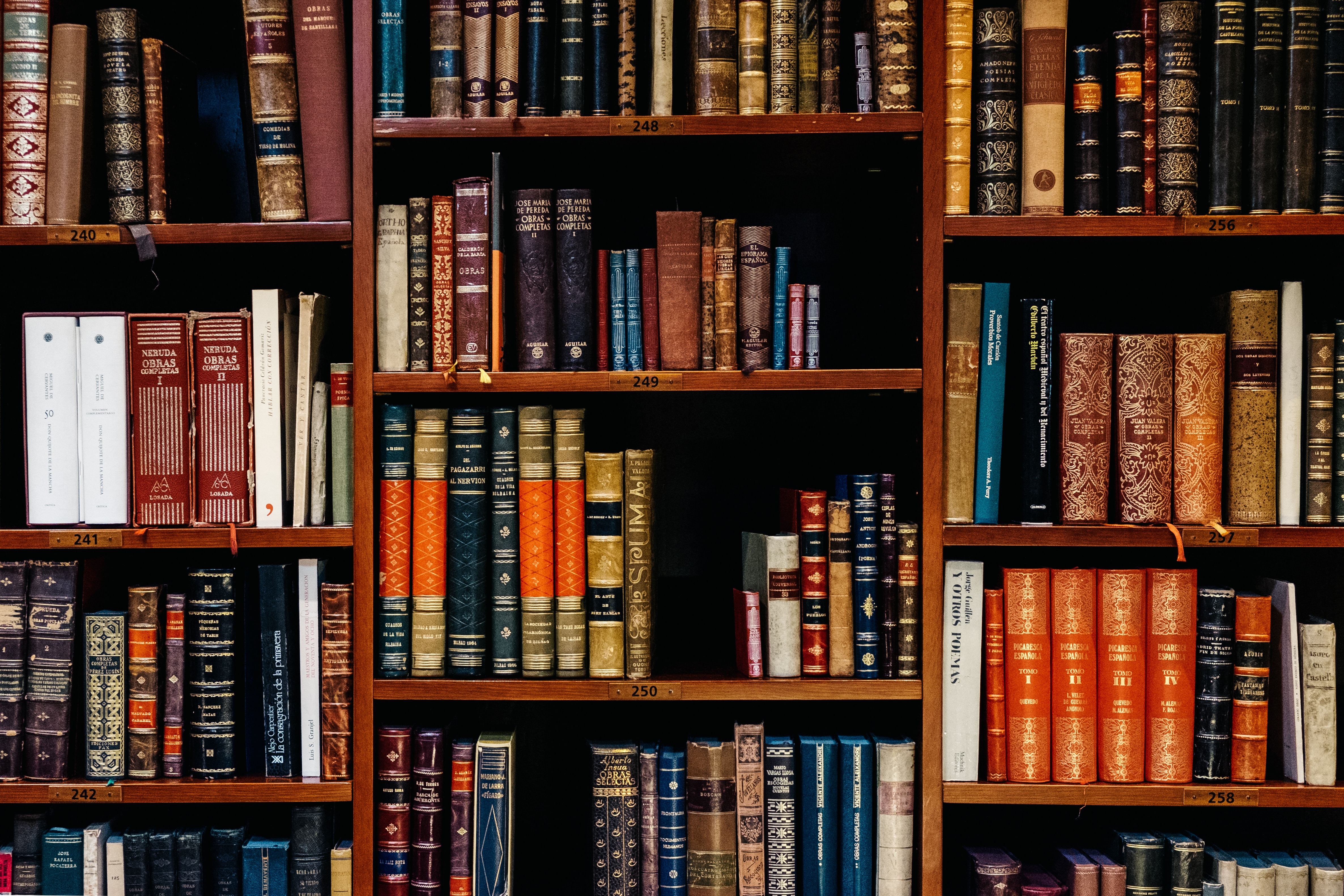 Photograph of antique books